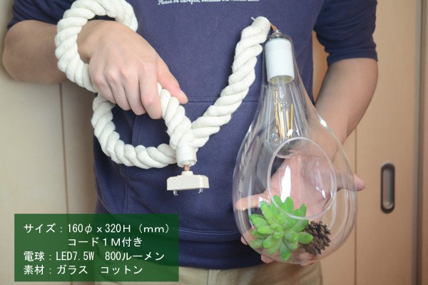 スワン電器 ペンダントライト 照明 おしゃれ ガラス LED 1灯