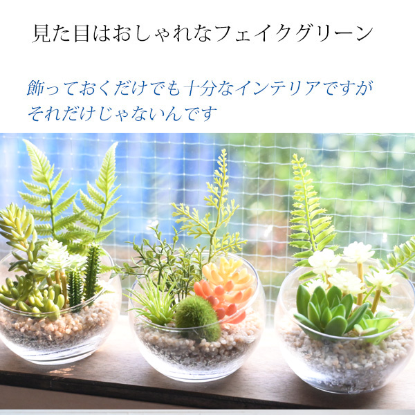 ct触媒フェイクグリーン