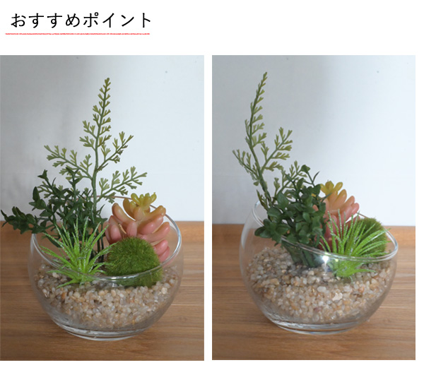 ct触媒フェイクグリーン