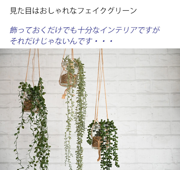 ct触媒フェイクグリーン
