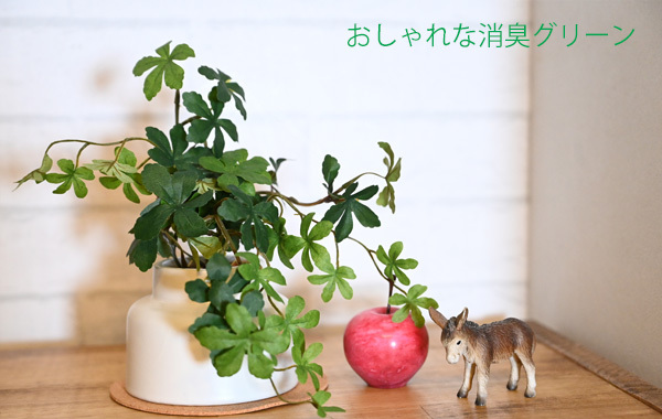 ct触媒フェイクグリーン