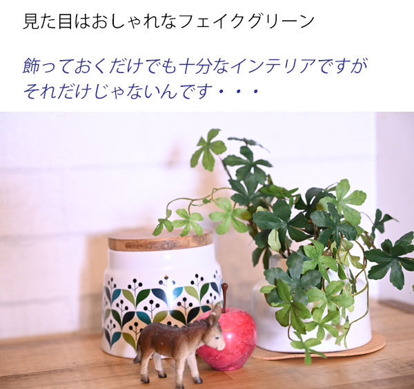 ct触媒フェイクグリーン