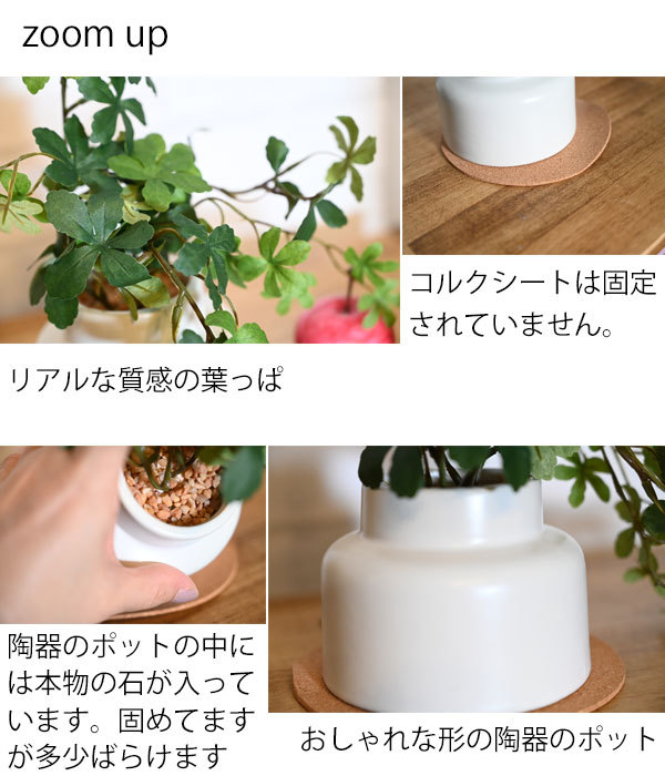 ct触媒フェイクグリーン