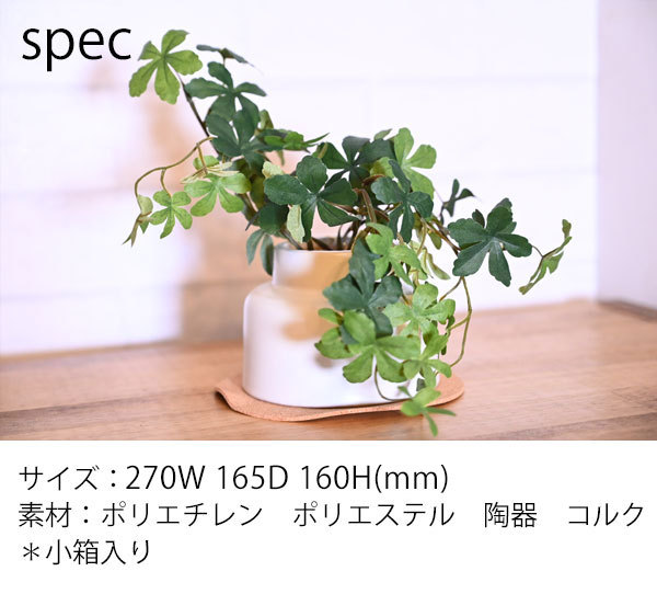 ct触媒フェイクグリーン