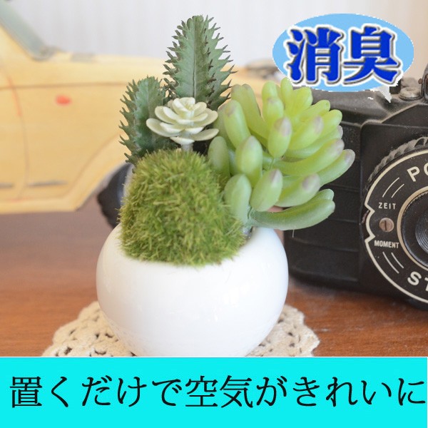 CT触媒フェイクグリーン