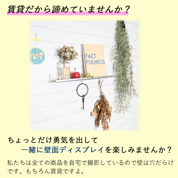 壁掛けラインシェルフフック付