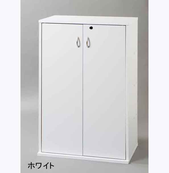 鍵付収納名人 マルチタイプ 本棚 ラック カラーボックス AVメディア収納ラック 安心の鍵付き DVD CD 本などマルチに収納  1 ランキング1位の画像