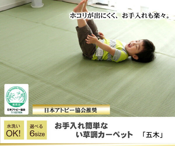 ＼レビューでプレゼント／カーペット マット ラグ 角型 洗えるPPカーペット 五木 江戸間4.5畳 2103004 ラグ 洗える 丈夫 子供部屋 居間 ペッ_2