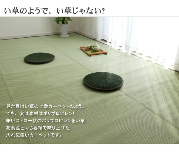 ＼レビューでプレゼント／カーペット マット ラグ 角型 洗えるPPカーペット 五木 江戸間4.5畳 2103004 ラグ 洗える 丈夫 子供部屋 居間 ペッ_3