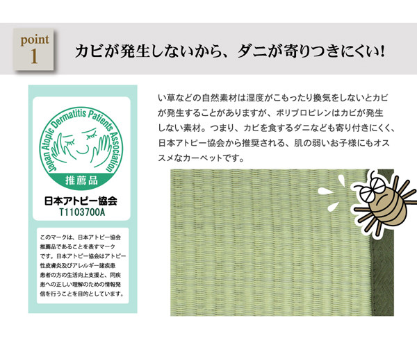 ＼レビューでプレゼント／カーペット マット ラグ 角型 洗えるPPカーペット 五木 江戸間4.5畳 2103004 ラグ 洗える 丈夫 子供部屋 居間 ペッ_4