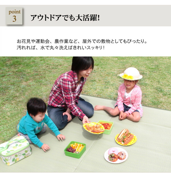 ＼レビューでプレゼント／カーペット マット ラグ 角型 洗えるPPカーペット 五木 江戸間4.5畳 2103004 ラグ 洗える 丈夫 子供部屋 居間 ペッ_6