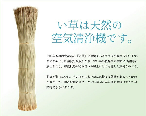 ＼レビューでプレゼント／カーペット マット 畳 カーペット ラグ 角型 純国産 い草花ござカーペット 銀河 江戸間2畳(約174×174cm) 4105502