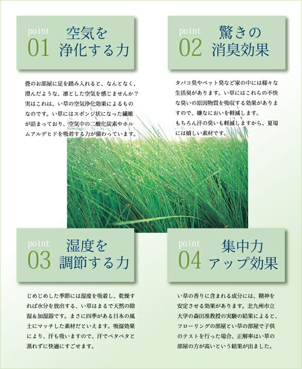 ＼レビューでプレゼント／カーペット マット 畳 カーペット ラグ 角型 純国産 い草花ござカーペット 銀河 江戸間2畳(約174×174cm) 4105502