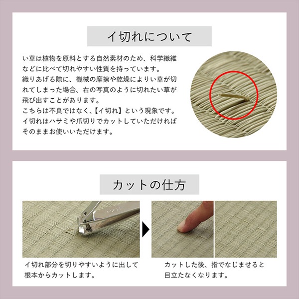 ＼レビューでプレゼント／カーペット マット 畳 カーペット ラグ い草 ラグ 「CX セナ」180×240cm 1071810043910 107181012_9