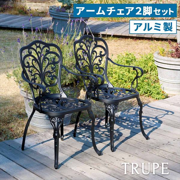 アルミ製アームチェア2脚セット「トルペ」 庭 ガーデニング ガーデン