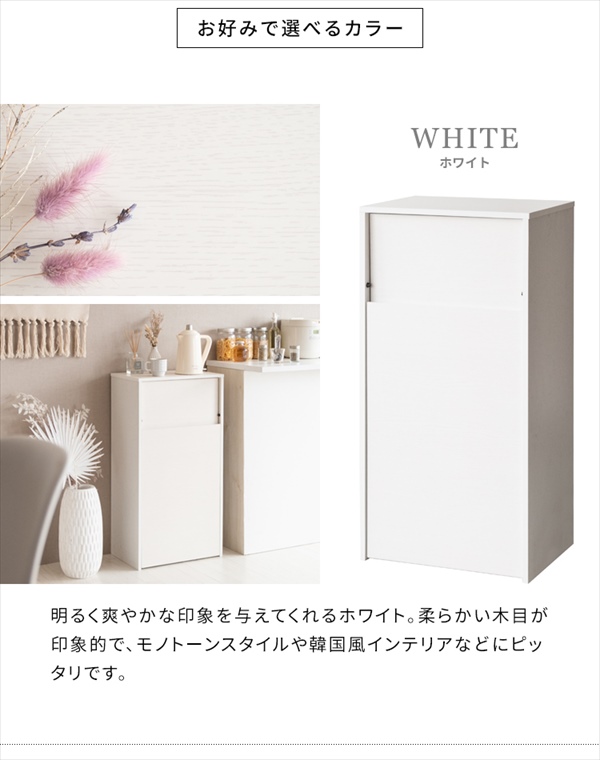 ゴミ箱 キャスターダストボックス Helios（ヘリオス）幅45cm 45L DB-F1100 ゴミ箱 蓋つき おしゃれ スタイリッシ_14