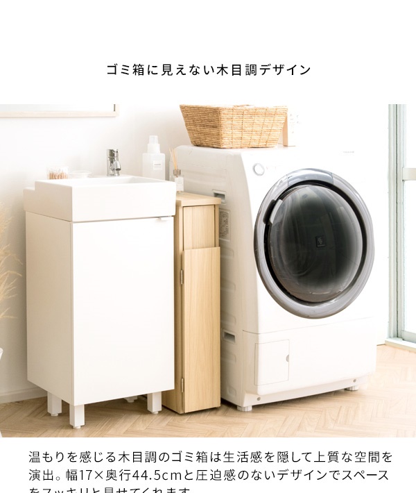 ＼レビューでプレゼント／スリムダストボックス Santia（サンティア）30L ゴミ箱 DB-F170 ゴミ箱 蓋つき おしゃれ スタイリッの画像