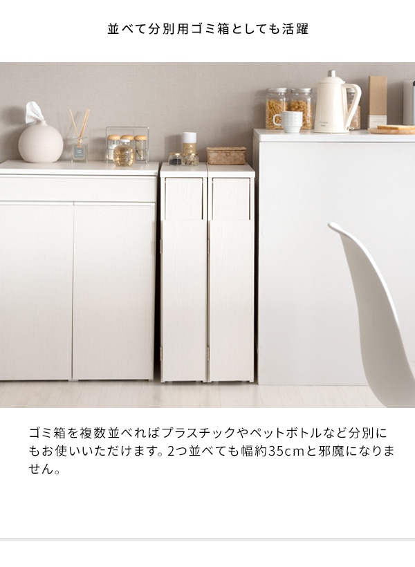 ＼レビューでプレゼント／スリムダストボックス Santia（サンティア）30L ゴミ箱 DB-F170 ゴミ箱 蓋つき おしゃれ スタイリッの画像