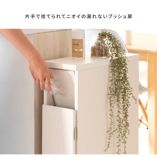 ＼レビューでプレゼント／スリムダストボックス Santia（サンティア）30L ゴミ箱 DB-F170 ゴミ箱 蓋つき おしゃれ スタイリッの画像