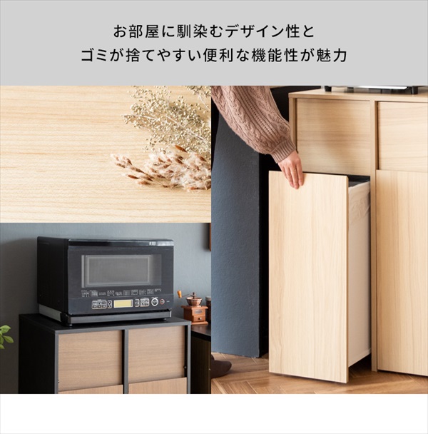 ゴミ箱 分別キャスターダストボックス Helios（ヘリオス）幅60.5cm 45L×2 DB-F2100 ゴミ箱 蓋つき おしゃれ_3