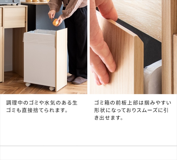 ゴミ箱 分別キャスターダストボックス Helios（ヘリオス）幅60.5cm 45L×2 DB-F2100 ゴミ箱 蓋つき おしゃれ_7