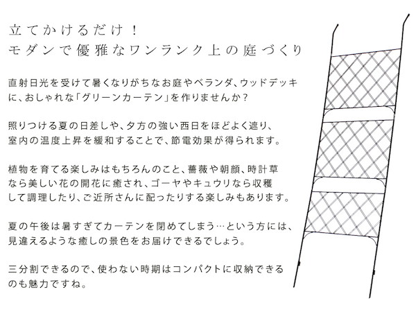 ＼レビューでプレゼント／ガーデニング 農業 フラワースタンド 園芸ラック アイアン製グリーンカーテン アーガイル 2枚組 IFGC011-2P-BLK フェン_3