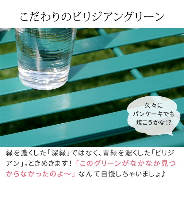 ＼レビューでプレゼント／エクステリア セット Sunny Leaf アイアン製 ローテーブル4_8