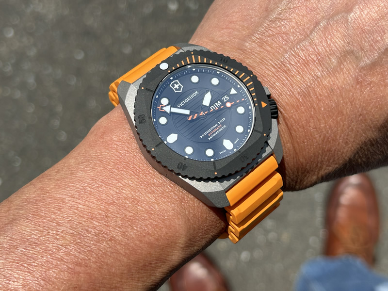 タマリダーツ　シルバー VICTORINOX ビクトリノックス 腕時計 DIVE PRO ダイブプロ