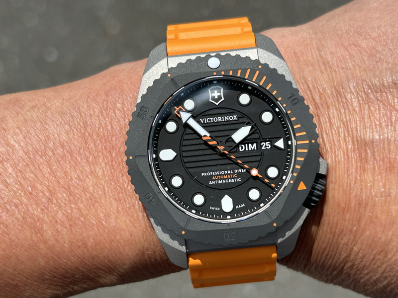 タマリダーツ　シルバー VICTORINOX ビクトリノックス 腕時計 DIVE PRO ダイブプロ
