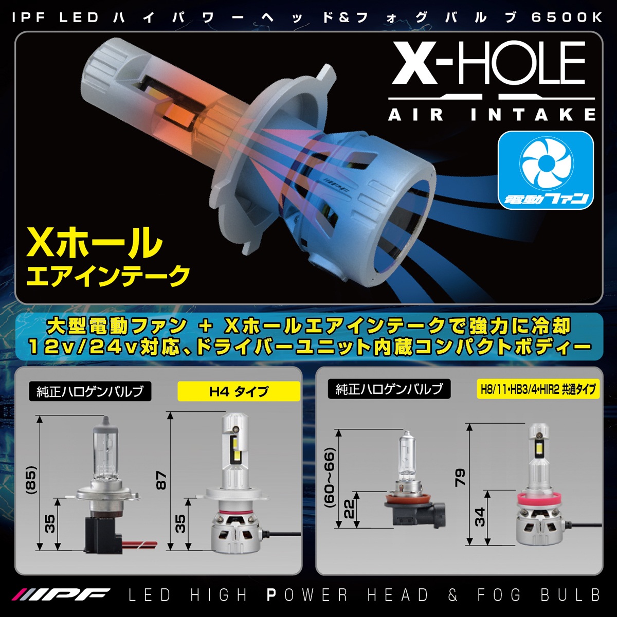 p301hfb-05.jpg