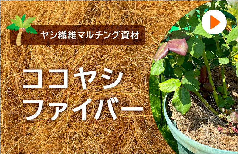 ゆうきの園芸ショップヤフー店 - Yahoo!ショッピング