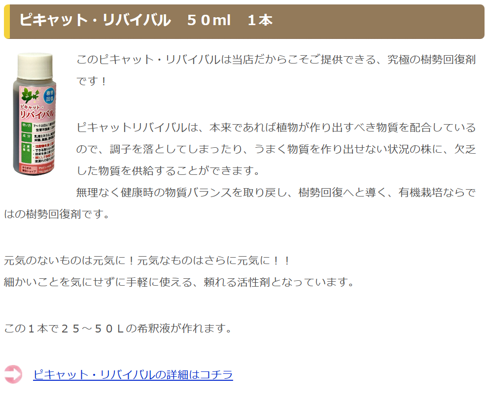 リバイバル