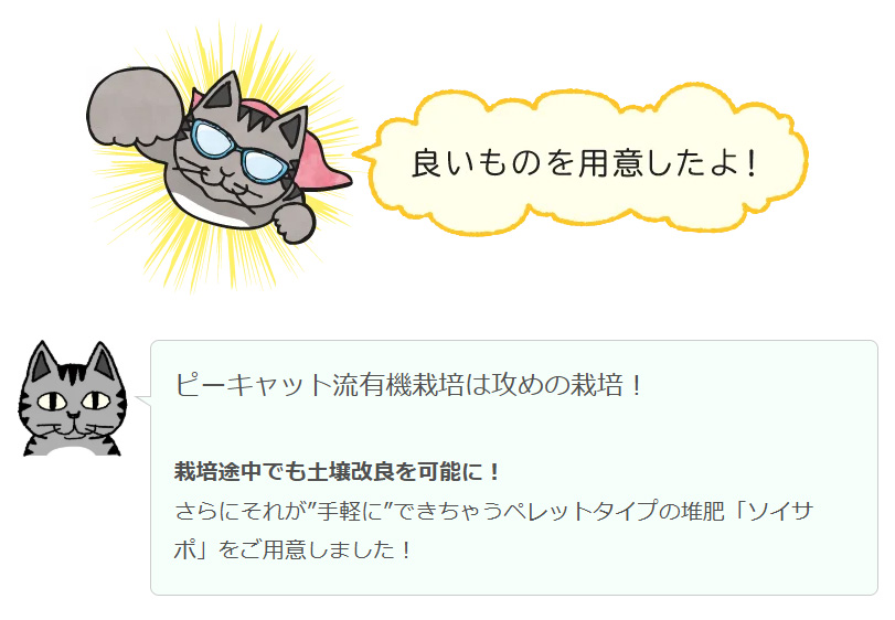 ソイサポ説明