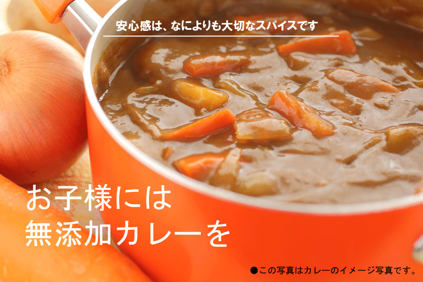 無添加・オーサワ スパイス香るカレールウ(中辛) １２０ｇ×6【送料無料・コンパクト便】 無添加カレールー・小麦粉の代わりに玄米粉使用  動物性原材料不使用 :o-a-2491-6:有機家ヤフー店 - 通販 - Yahoo!ショッピング