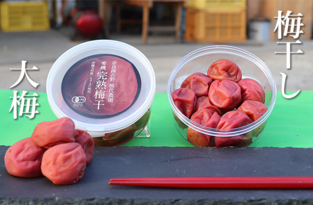 極上南高梅大梅紫蘇梅干し160g 有機JAS「無農薬・無添加」 3個