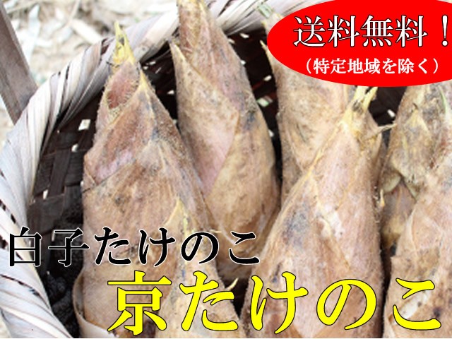 京都産 京たけのこ（白子筍） 1.5ｋｇ（3月下旬〜4下旬ころお届け） : 6804 : 有機農産物直売所 ヤフー店 - 通販 -  Yahoo!ショッピング