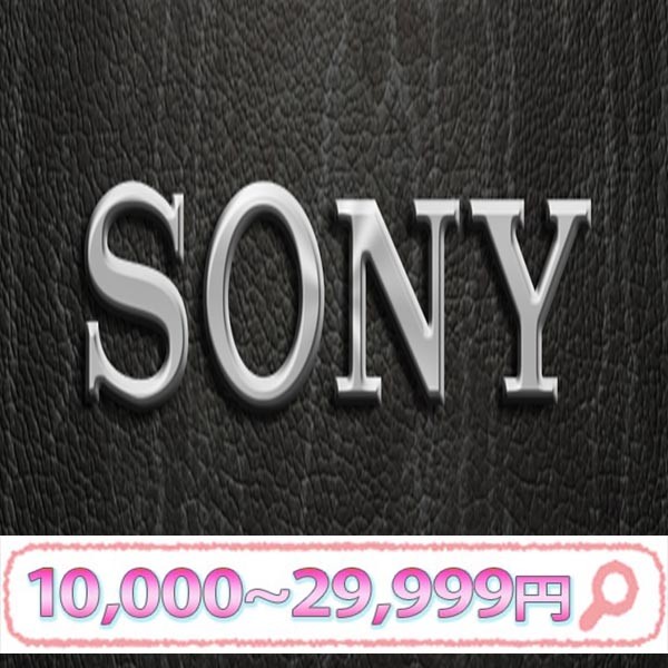 中古ノートパソコン Windows 10 office搭載 15.5型 SONY VAIO
