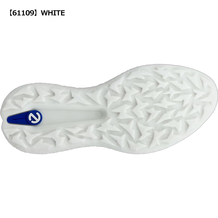 ecco（エコー） ゴルフ シューズ 138004 ECCO GOLF BIOM HYBRID 5