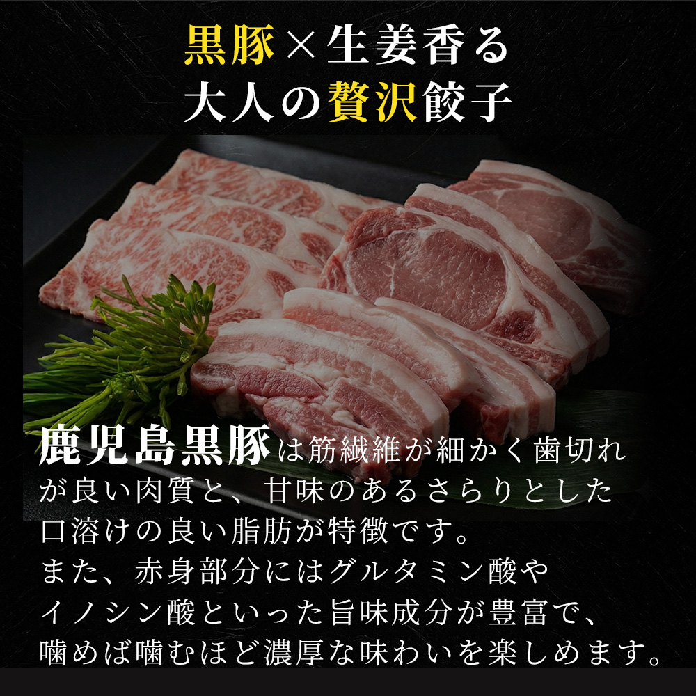 甘みと旨味の鹿児島黒豚100%使用 生姜が香る大人の贅沢餃子