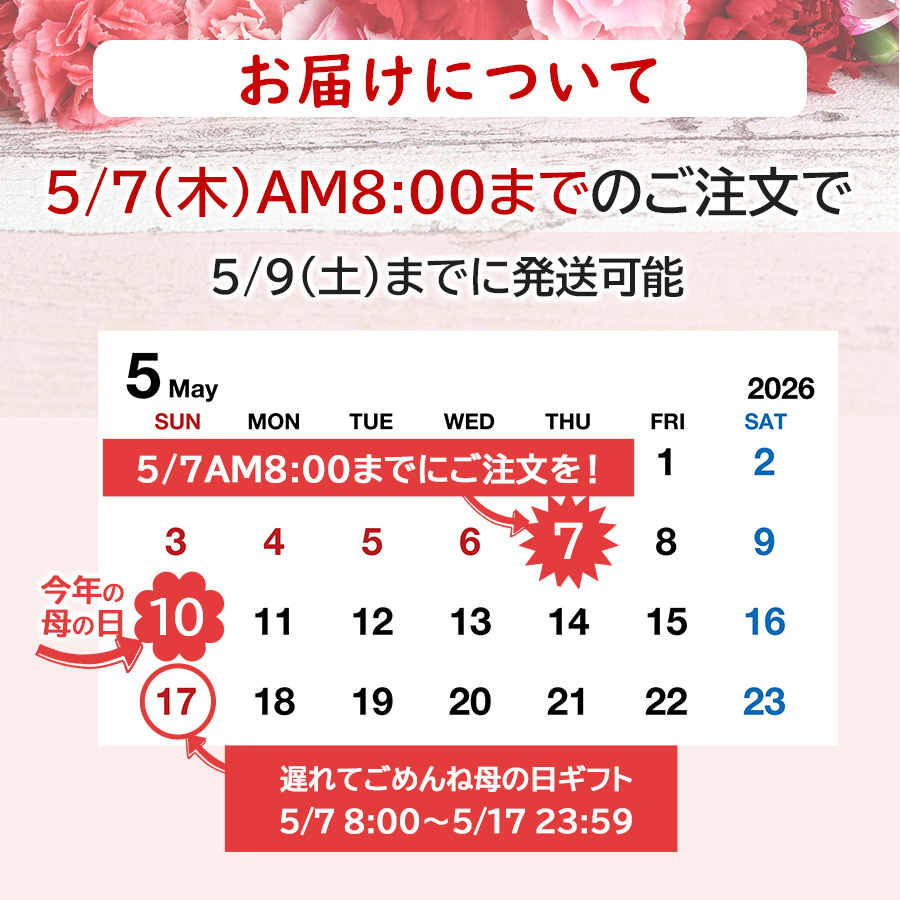 セット内容