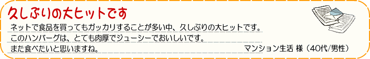 無添加 ハンバーグ メンチカツ