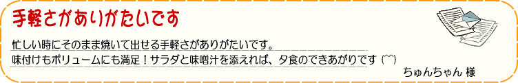 無添加 ハンバーグ メンチカツ