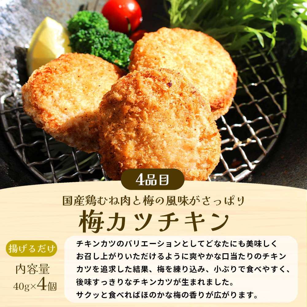 大阪の味ゆうぜん 新生活応援 肉 惣菜 セット 冷凍 無添加 お