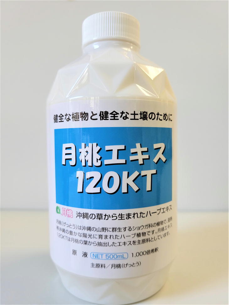 日本月桃 月桃エキス 120KT 500ml 植物性 ハーブエキス 天然成分 バラ