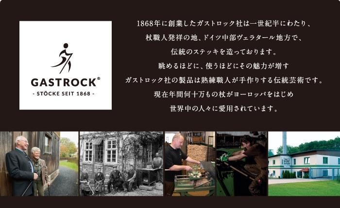 ドイツ製 1本杖 ガストロック Gastrock 水牛の角 ELLEGANCE GA-51