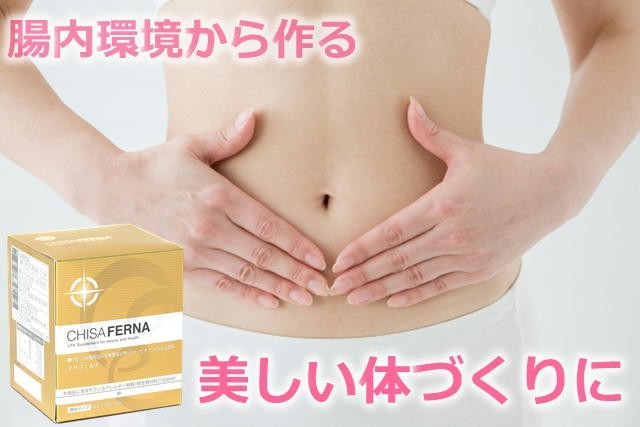 チサフェルナ 30包入り×3箱セット chisaferna ニチニチ製薬 乳酸菌含有