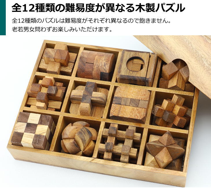ロックスモーション ウッドパズル 12個セット 木製 木のおもちゃ