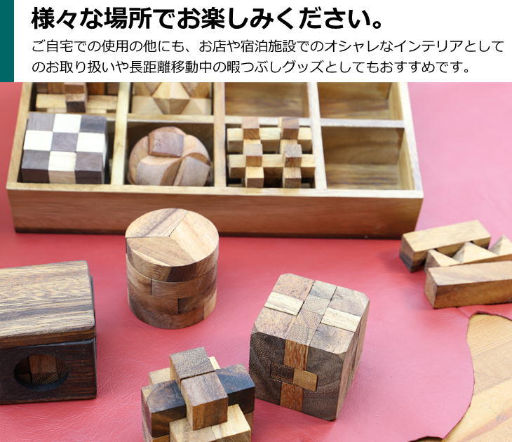 ロックスモーション ウッドパズル 12個セット 木製 木のおもちゃ 玩具