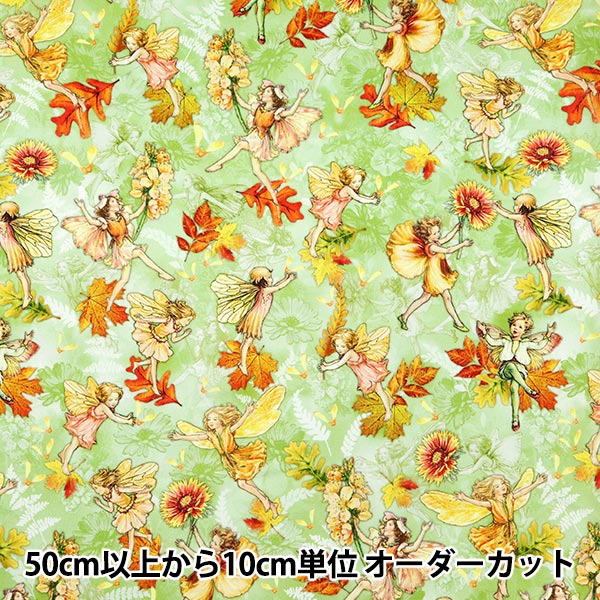 �y����5����z ���n �wUSA�R�b�g�� �t�����[�t�F�A���[�Y �d���� DDC1523-SAGE�x