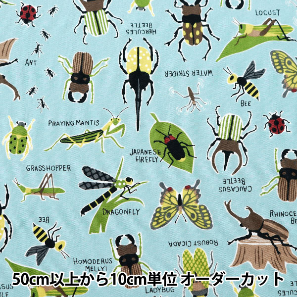 【数量5から】 生地 『オックス カラフルキャンバス 昆虫図鑑柄 ブルーグレー COCAN-INC-BLG』 KOKKA コッカ｜yuzawaya